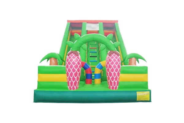 squirrel inflatable slide dual lane