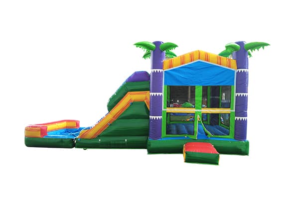 Dual Slide Coconut Bounce House for School Fun Fairs